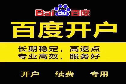 百度竞价SEM案例：揭秘高效广告投放技巧